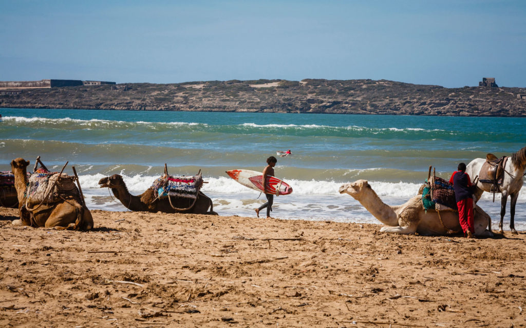 Morocco Essaouira beach