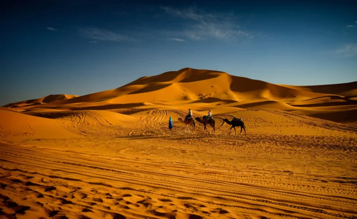 Magic Overnight Camel Trekking Merzouga