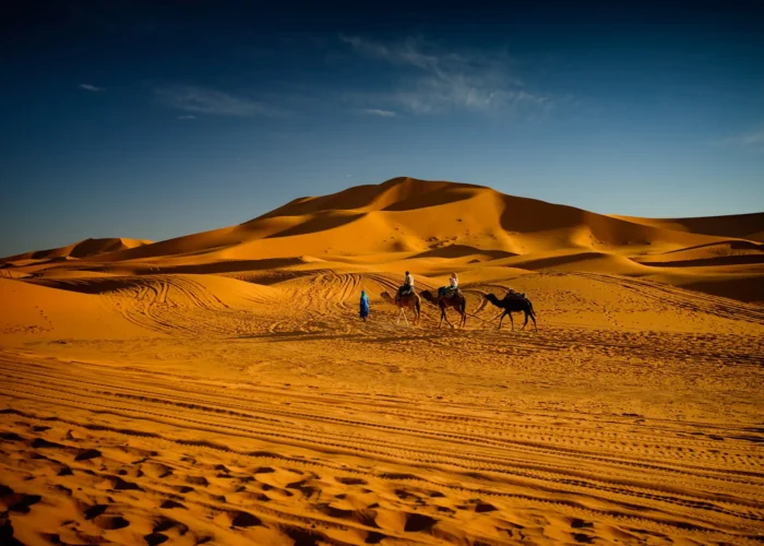 Magic Overnight Camel Trekking Merzouga