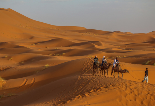 Desert Merzouga tours best travel agency in Morocco