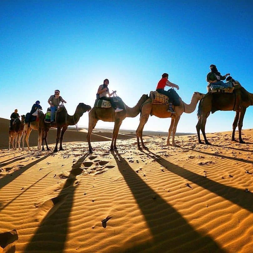 Erg Chebbi, Merzouga Camel Trekking in Morocco Desert