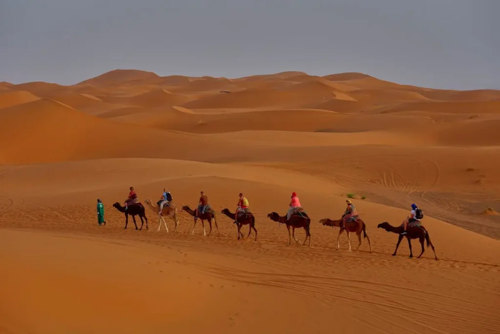 Camel trek at sunset Merzouga Sahara Desert Morocco