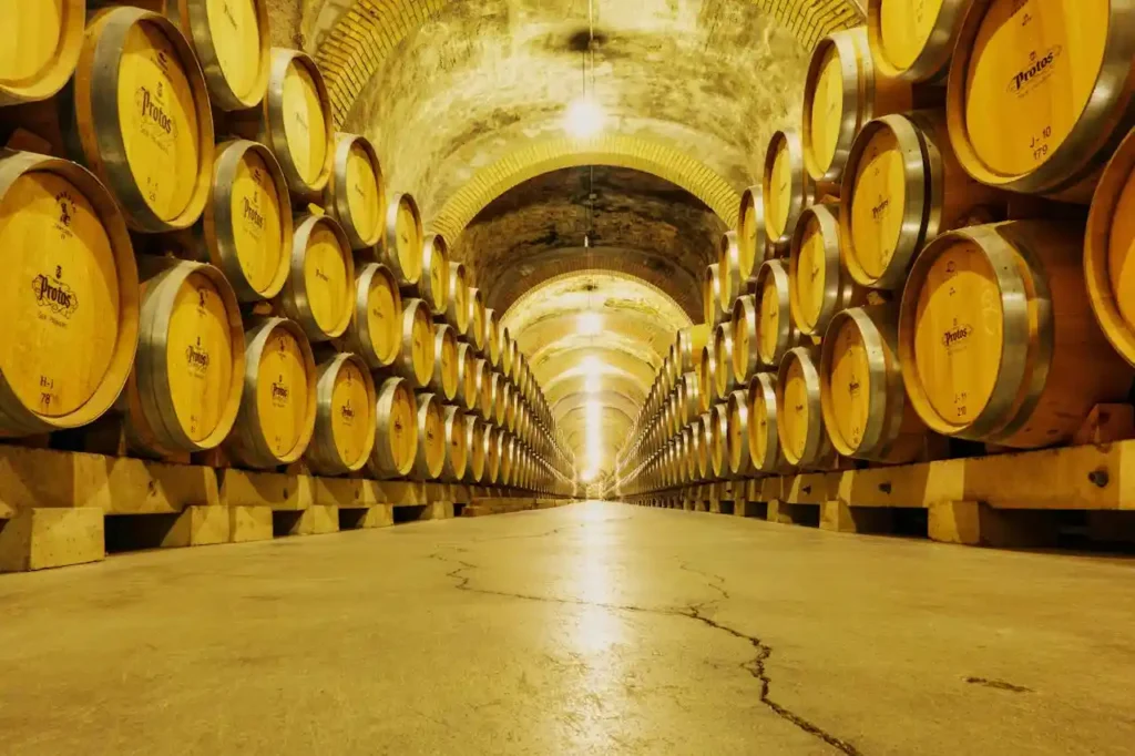 Morocco Meknès wine estate cellar with oak barrels aging red wine