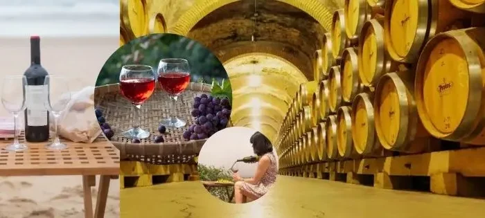 Morocco wine glass with vineyard background Meknès region