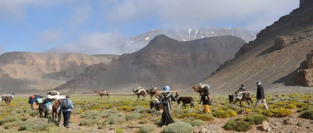 What is the difference between Berber and Amazigh