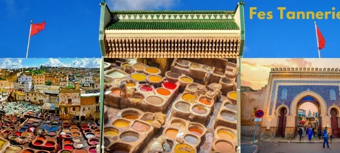 Fes Tanneries