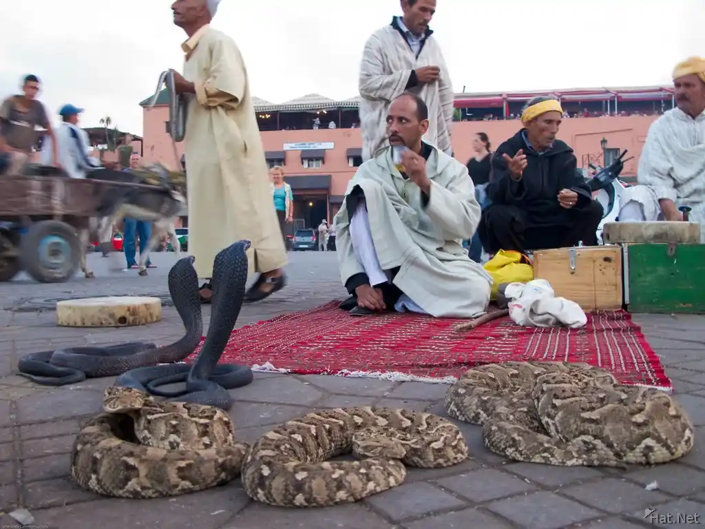 Marrakech Jemaa El Fna