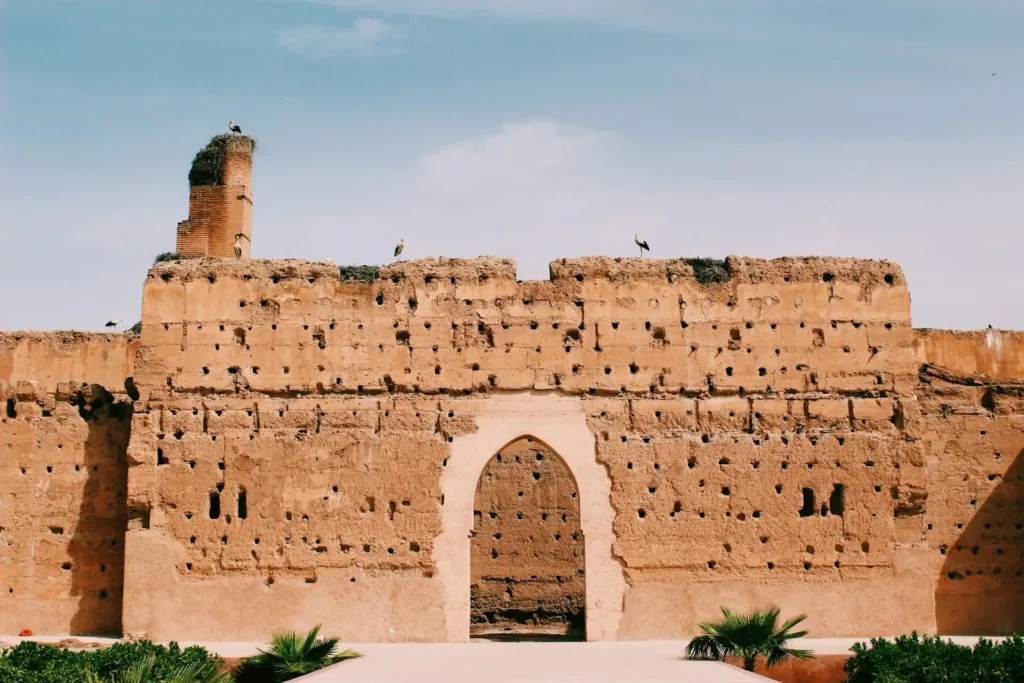 White storks nesting on the ramparts of El Badi Palace