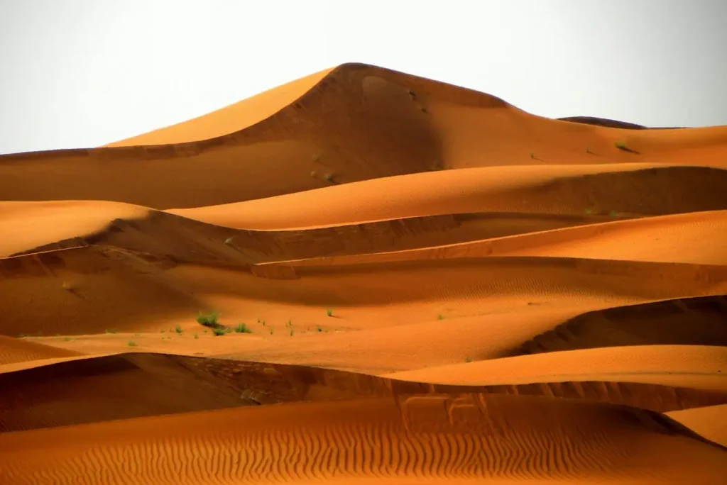 Golden sand dunes of Erg Chebbi near Merzouga, Sahara Desert Morocco