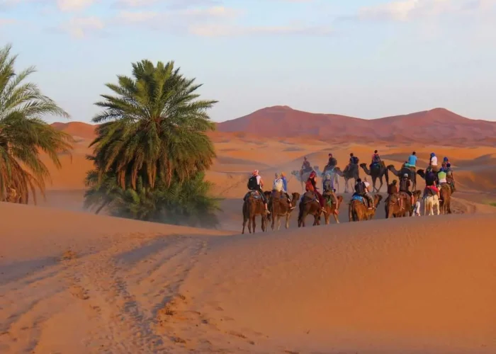 4 days desert tour from Marrakech