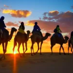 Best Sunset camel ride