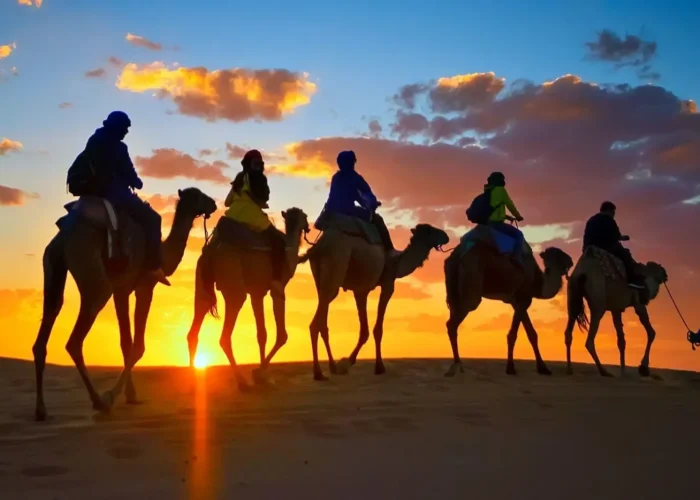 Best Sunset camel ride