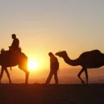 Magic Sunrise Camel ride