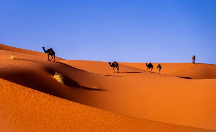 2 días desde Fez al Desierto