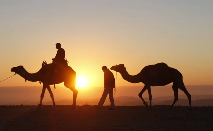 paseo en camello al amanecer