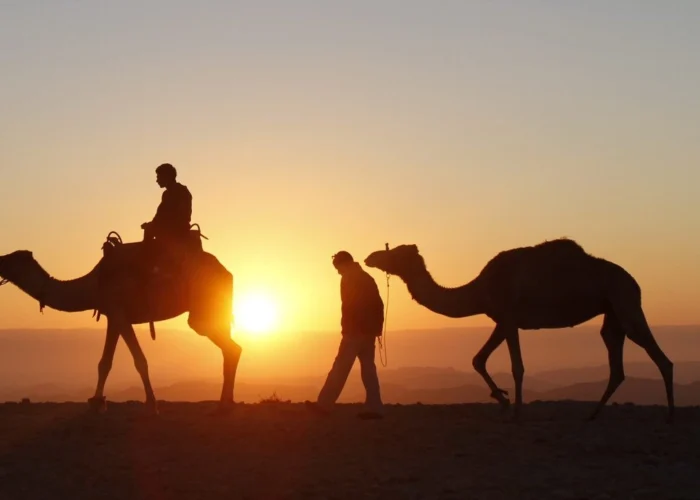 paseo en camello al amanecer